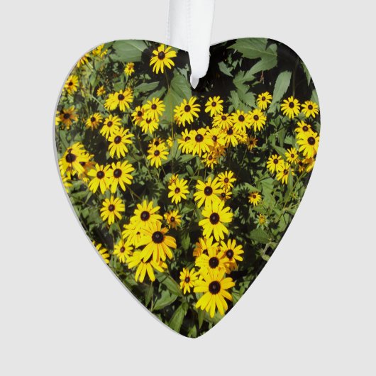 日照り草原 オーナメント (正面)