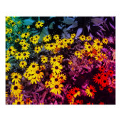 日照り草原 ポスター (正面)