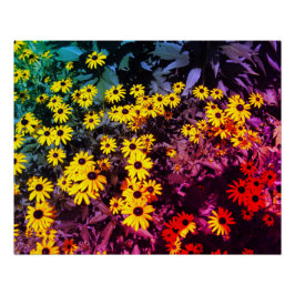 日照り草原 ポスター