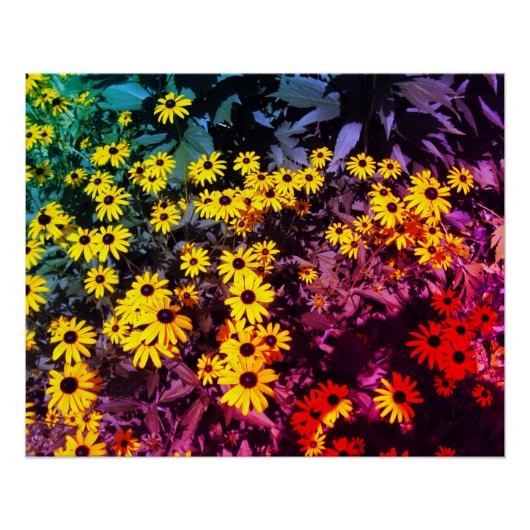 日照り草原 ポスター (正面)