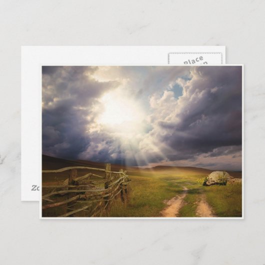 日照草木古木フェンス葉書 ポストカード (正面/裏面)