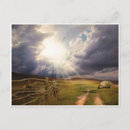 日照草木古木フェンス葉書 ポストカード (正面)