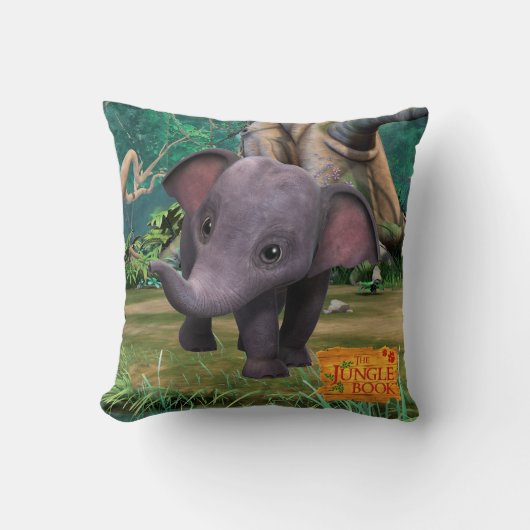 日田 クッション (正面)