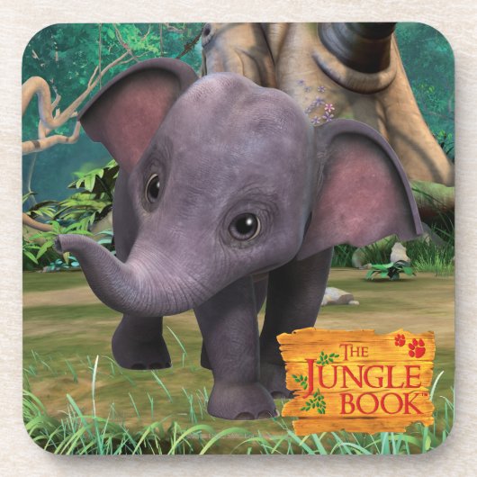 日田 コースター (正面)