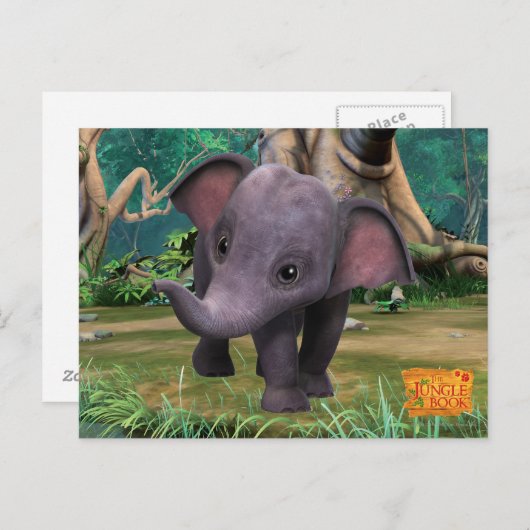 日田 ポストカード (正面/裏面)