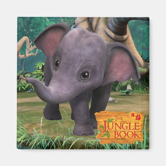 日田 マグネット (正面)