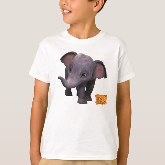 日田 Tシャツ (正面)