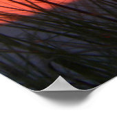 日素晴らし入りポスター ポスター (角)