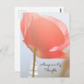 日考える出のケシ ポストカード (正面/裏面)