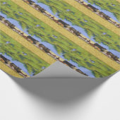 日除けの木の下の牛…  100度と ラッピングペーパー (角)