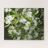 日陰と日なたの桜 ジグソーパズル (横)