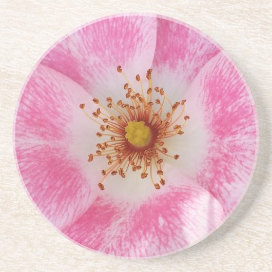 日陰のピンク色の花 コースター (正面)