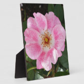 日陰のピンク色の花 フォトプラーク (側面)