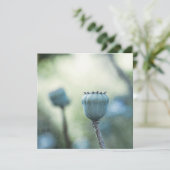 日陰の庭の東洋のケシの芯 (スタンド正面)