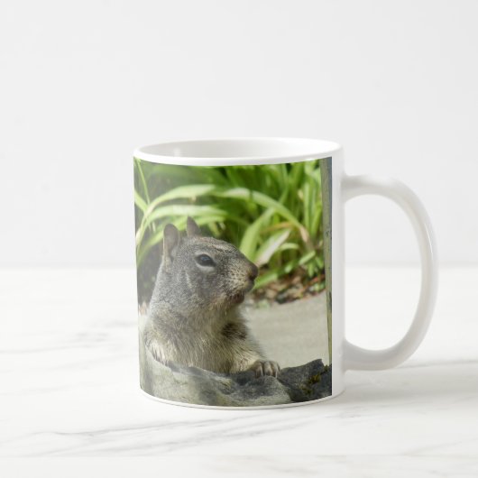 日陰マグカップで冷えるリス コーヒーマグカップ (右)