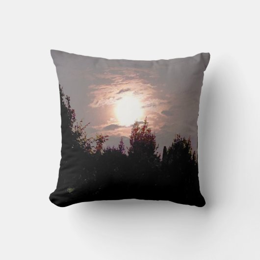 日陰ムーン自然撮影 クッション (正面)