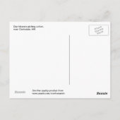 日雇い労働者は、MSクラークスデールの近くで綿花を摘む。 ポストカード (裏面)