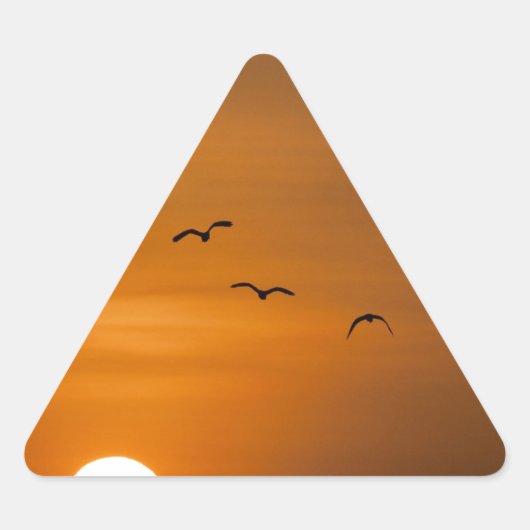 日飛んでいる没の鳥 三角形シール (正面)