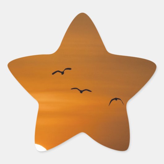日飛んでいる没の鳥 星シール (正面)
