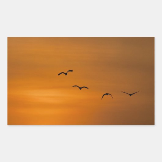日飛んでいる没の鳥 長方形シール (正面)