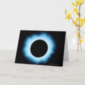 日食2 カード (黄色い花)