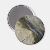 日食 マグネット (正面/裏面)