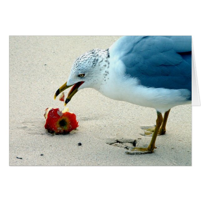 日Apple… (正面横)