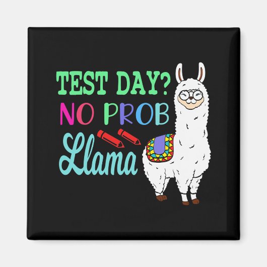 日No Prob Llamaテスト日No Problamaテスト日L マグネット (正面)