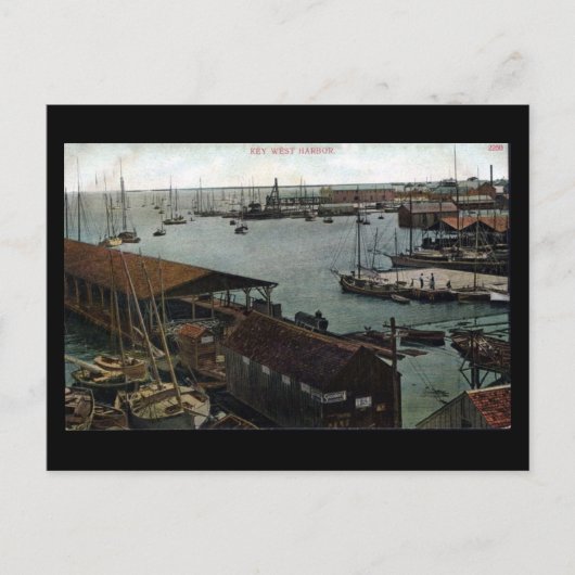 旧はがき – フロリダ、鍵ウエストハーバー ポストカード (正面)