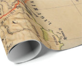 旧イタリア物理地図(1881) ラッピングペーパー (ロールコーナー)