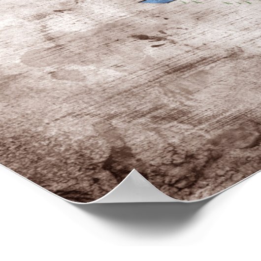 旧イリノイ州旗； ポスター (角)