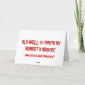 旧スカル誕生日カード カード (裏面)