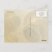 旧ダイビング機器，ダイビングミュージアムの歴史，フロリダ ポストカード (裏面)