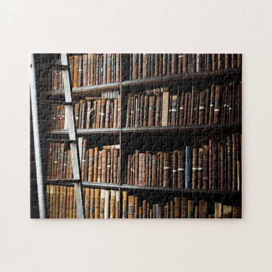 旧ダブリン図書館 アイルランド ジグソーパズル (横)