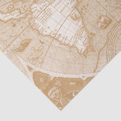 旧世界の地図のティッシュペーパー 薄葉紙 (詳細)