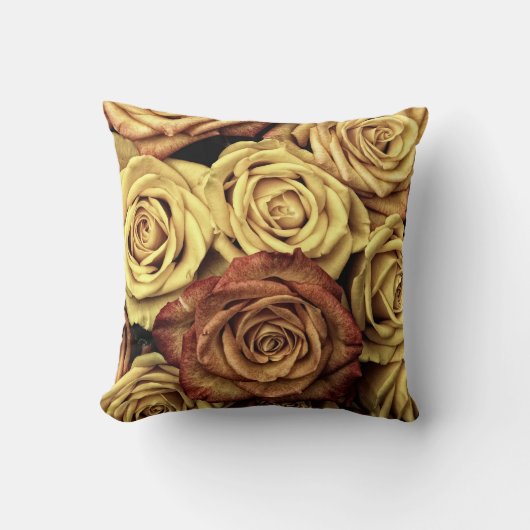 旧世界コレクション – 装飾用クッション クッション (正面)