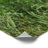 旧人命救助ステーション外銀NCポスター ポスター (角)