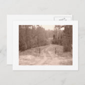 旧国道葉書 ポストカード (正面/裏面)