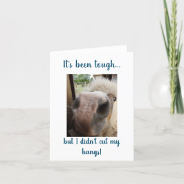 旧学校紙カード(HwN) サンキューカード