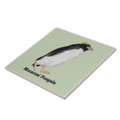 旧市街鳥類絶滅ペンギン タイル (側面)