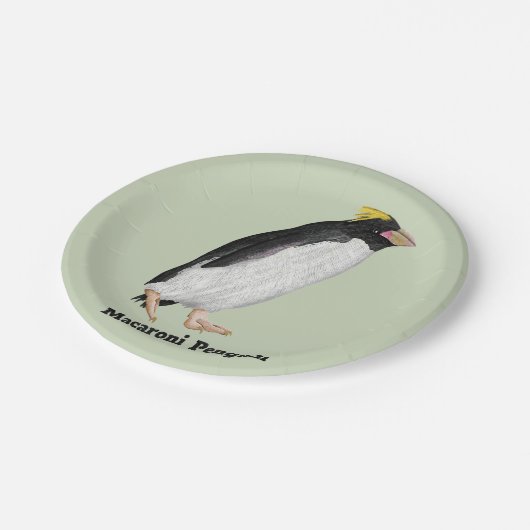旧市街鳥類絶滅ペンギン ペーパープレート (アングル)