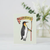 旧市街鳥類絶滅ペンギン ポストカード (スタンド正面)