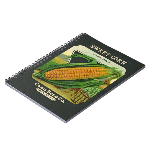 旧式なカード種Coの包みのブランクのノート ノートブック (左側)