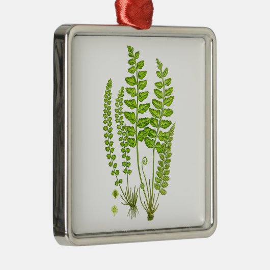 旧式なシダのプリント#12の緑の自然の植物の芸術 メタルオーナメント (右)
