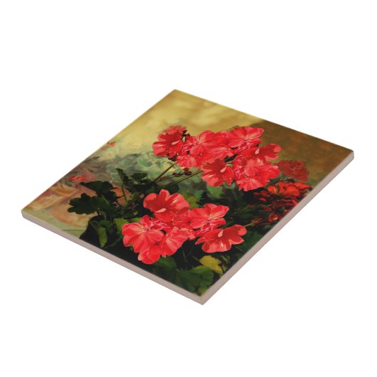 旧式なスタイルの赤いゼラニウムによってはギフトが開花します タイル (側面)