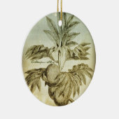 旧式なパンノキArtocarpus Altilis セラミックオーナメント (右)