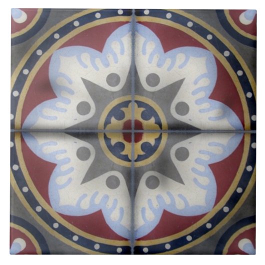 旧式なヴィンテージのセメントのフランス人のタイル タイル (正面)