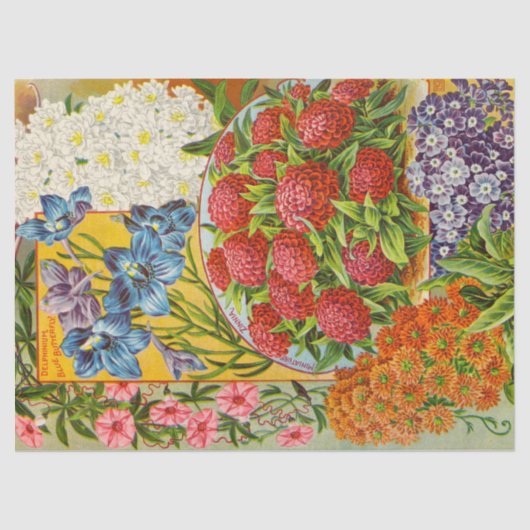 旧式な一年生植物花のティッシュペーパー 薄葉紙 (正面)