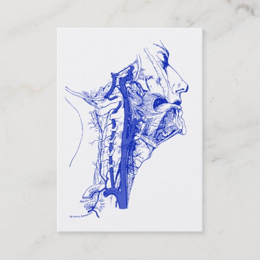 旧式な医学のイメージの人間の椎骨動脈 名刺 (正面)