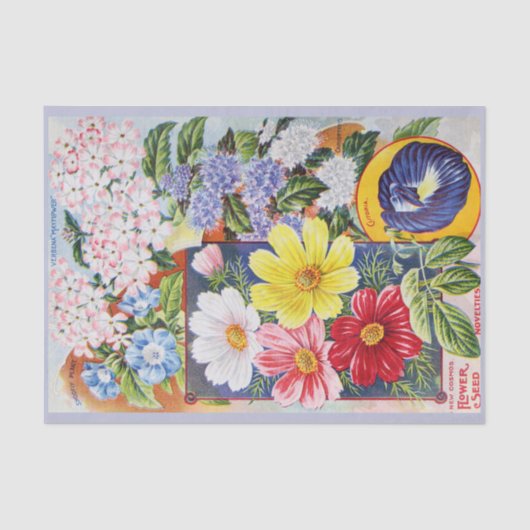旧式な夏の花の種カタログのティッシュペーパー 薄葉紙 (正面)